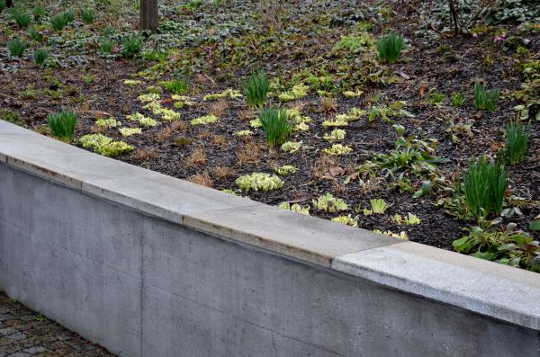 Concrete Wall Construction in Grand Junction