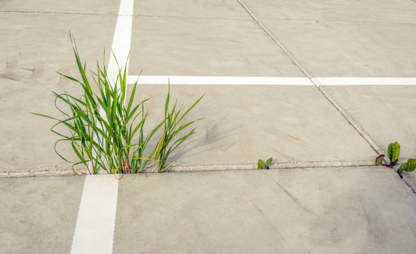 Concrete Parking Installation in Grand Junction