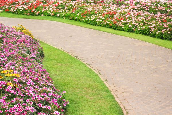 Concrete Walkway Service in Grand Junction