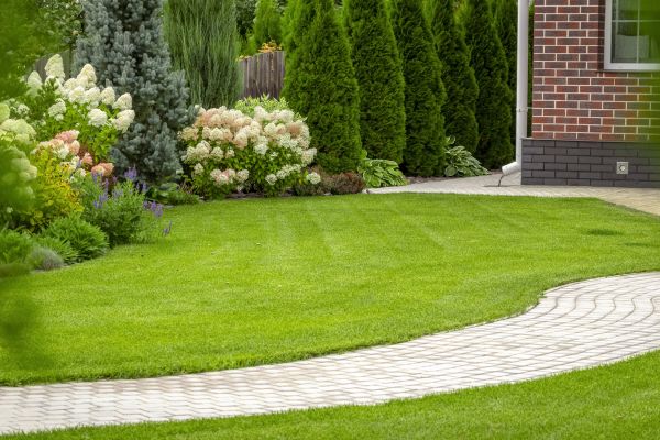 Landscape Walkway Installation in Grand Junction